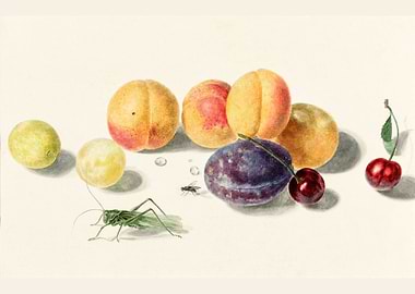 Fruits