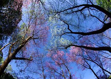 Amazing Ancient Arch Beaut