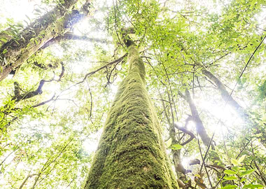 Agriculture Background Big