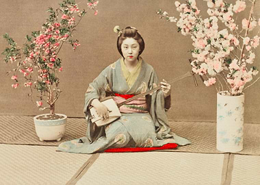 Geisha Playing Samisen