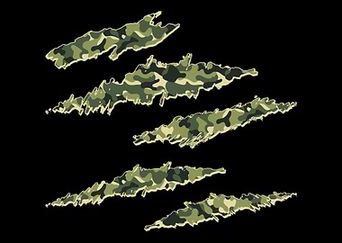 Camouflage Pattern Camo