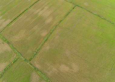 Agriculture Asia Asian Bac