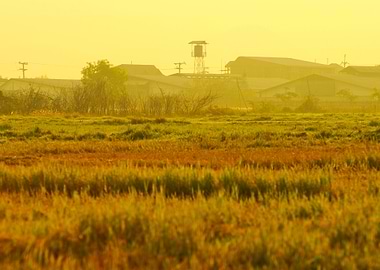 Agricultural Agriculture A