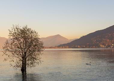 sunset over the quiet lake