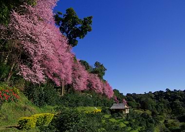 Amazing Ancient Arch Beaut