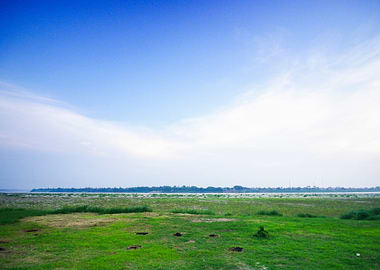 Beautiful Beauty Blue Brig