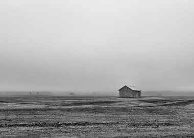 Barnss On A Misty Field