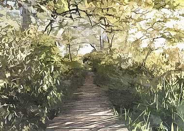 Nature Board Walk Trail