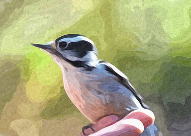 Wood Pecker on Hand