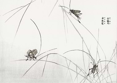 Suzumushi bell cricket