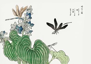 Dragonfly on a flower