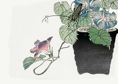 Japanese papercutter