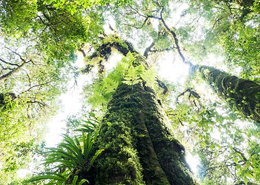 Agriculture Background Big