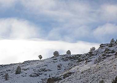 Image Picture Background