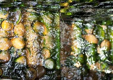 Abstract Autumn Backdrop B