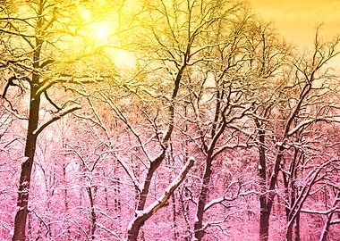 Background Beautiful Beaut