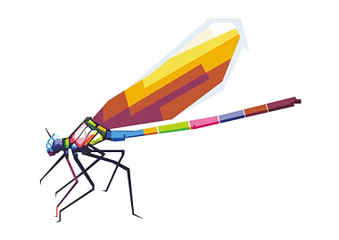 colorful dragonfly WPAP