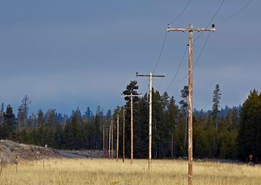 Image Picture Nature El