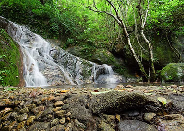 Asia Beautiful Beauty Berr