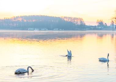 Sunrise Reflection Nature