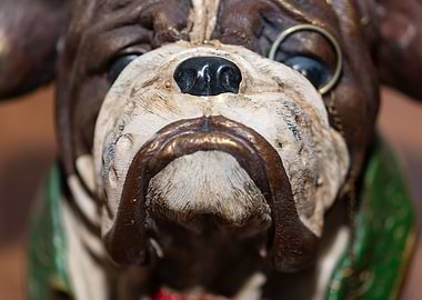 Muzzle of a dog