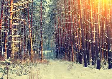 Background Beautiful Beaut