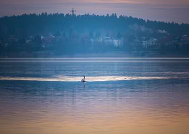 Sunrise Reflection Nature