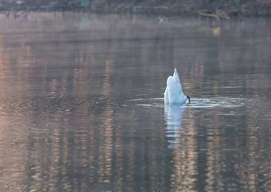 Sunrise Reflection Nature