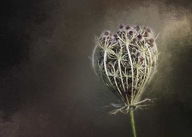 brown Flower with Texture