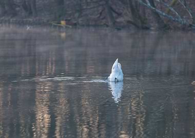 Sunrise Reflection Nature