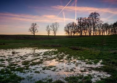 Marsh Mud Puddle Swamp Dir