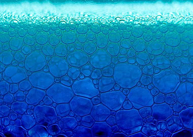 Blue macro foam bubble