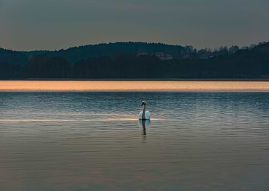 Nature Landscape Lake Twil