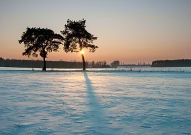 Background Beautiful Beaut