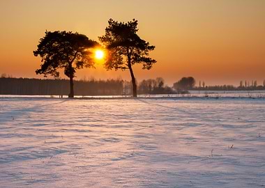 Background Beautiful Beaut