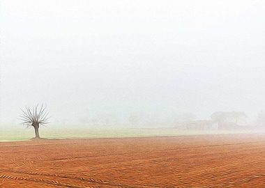 Thick fog in the Po valley