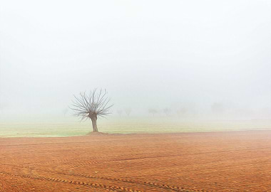 Thick fog in the Po valley