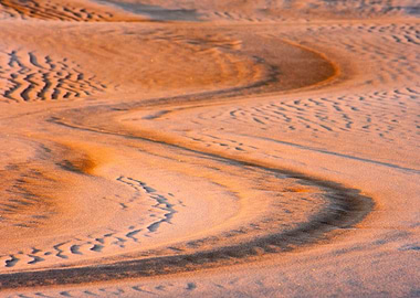 Sand Tree Clear Remote Sto