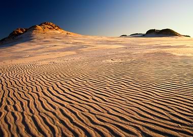 Sea Dry Hot Park Sand Dune