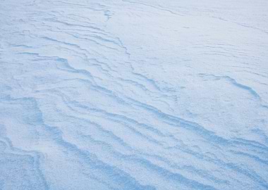 Background Beautiful Beaut