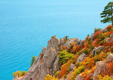 Background Beautiful Calm