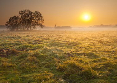 Sunset Meadow Farm Outdoor