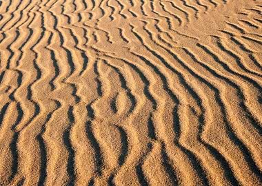 Sand Tree Clear Remote Sto