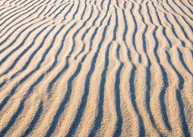 Sea Dry Hot Park Sand Dune
