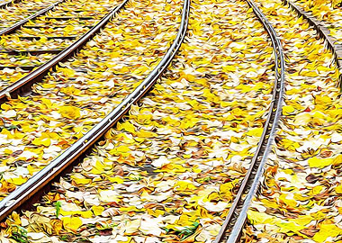 Tramway tracks in Turin