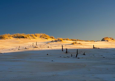 Sea Dry Hot Park Sand Dune