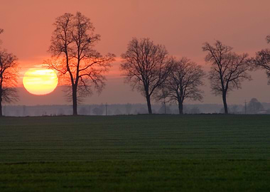 Day Sun Set Hot Red Sky Tr