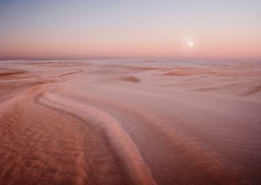 Sand Tree Clear Remote Sto