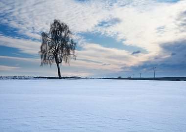 Background Beautiful Beaut