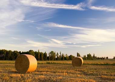 Grain Bundle Yield Economy